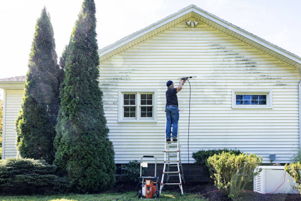 Best Pressure Washing Contractors  in North Alamo, TX