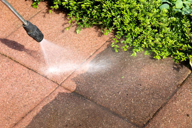 Best Affordable Power Washing  in North Alamo, TX