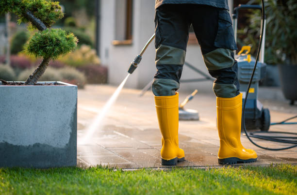 Best Sidewalk Pressure Washing  in North Alamo, TX
